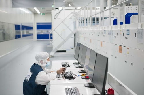 中國經(jīng)濟樣本觀察 企業(yè)樣本篇 追光逐新 光伏獨角獸華晟新能源的成長故事